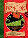Hiccup: How to Train Your Dragon
