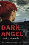 The Dark Angel