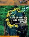 Carbon-Oxygen and Nitrogen Cycles