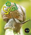 Snail