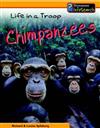 Chimpanzees Life in a Troop