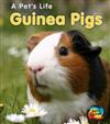 Guinea Pigs