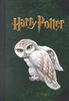 Harry Potter Jrnl #2 Owl