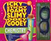 Icky Sticky Foamy Slimy Ooey Gooey Chemistry