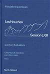 Quantum Fluctuations: Proceedings of the Les Houches Summer School, Session LXIII, 27 June-28 July 1995