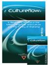 Cultureflow Te Reo Maori -Intro workbook