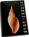 New Zealand Seashells Visual Guide