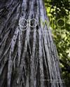 Go Wild: Guiding Native Restoration in Tasman District