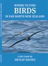 Where to find birds in Far North New Zealand