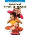 Making Sense of Senses