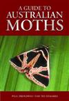 A Guide to Australian Moths