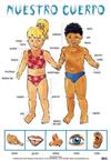 Spanish Poster - Our Bodies