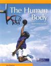 The Human Body: From Head to Toe