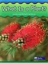 What is a Plant?