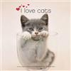 I Love Cats