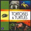 Tortoises & Turtles