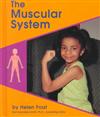 Muscular System