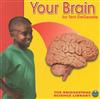 Your Brain