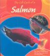 Life Cycle of a Salmon