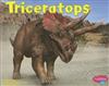 Triceratops