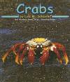 Crabs