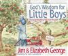 God's Wisdom for Little Boys: Character-building Fun from Proverbs