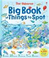 The Usborne Big Book of Things to Spot