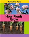 How Plants Grow
