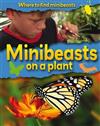 Minibeasts on a Plant