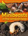 Minibeasts on a Compost Heap