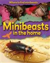 Minibeasts in the Home