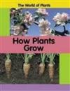 How Plants Grow