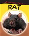 Rat