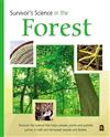 In the Forest