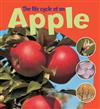The Life Cycle of an Apple