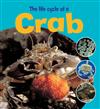The Life Cycle of a Crab