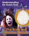 The Brain and Nervous System