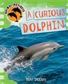 Curious Dolphin