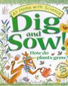 Dig and Sow!: How Do Plants Grow?