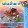 Flip the Flaps: Seashore