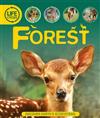 Life Cycles: Forest