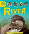 Life Cycles: River