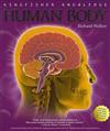 Human Body