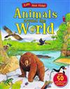 Animals Around the World