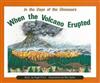 When the Volcano Erupted