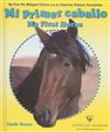 Mi Primer Caballo/My First Horse