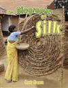 Biography of Silk