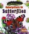 Caterpillars to Butterflies