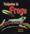 Tadpoles to Frogs