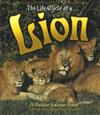 The Life Cycle of a Lion